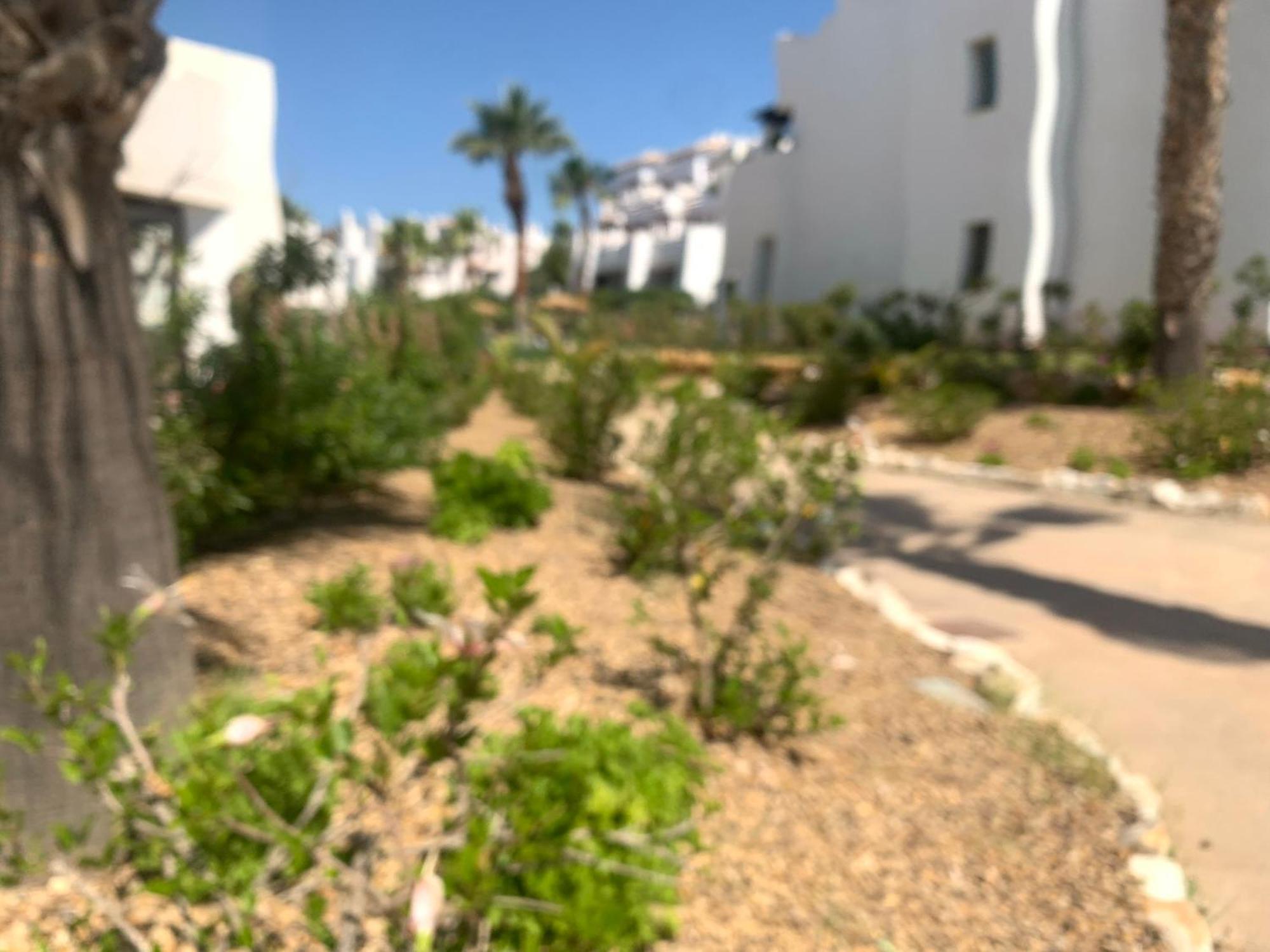 Apartamento Las Salinas 1389 Vera Exterior foto